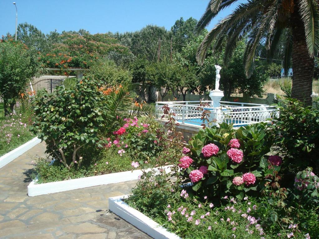 Villa Tonia Apartments Sarti Exterior foto